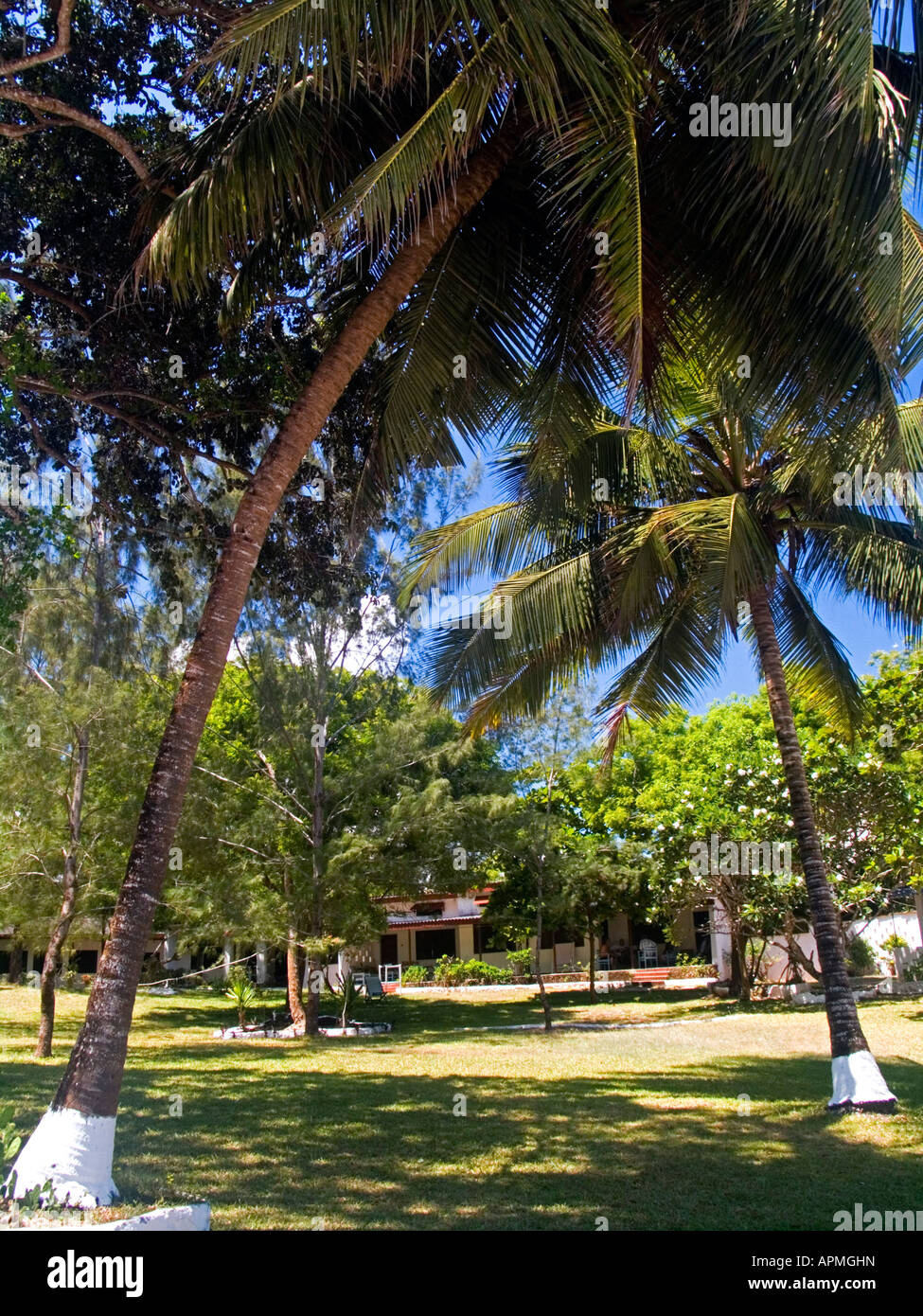 Holiday bungalow resort sulla spiaggia di Diani Kenya Foto Stock