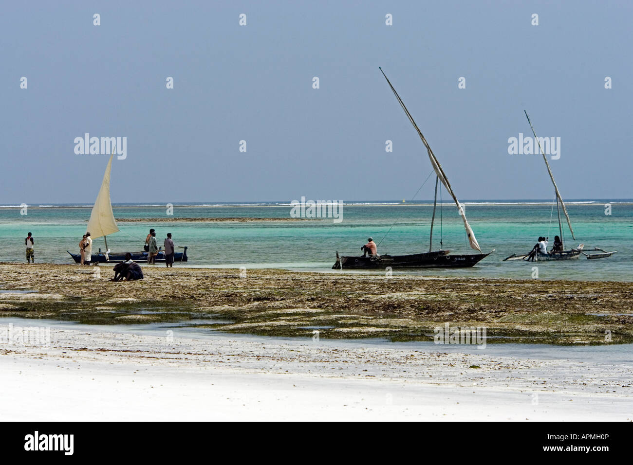 Tradizionale vela latine dhows offerta turistica escursioni vela Diani Beach Kenya Foto Stock