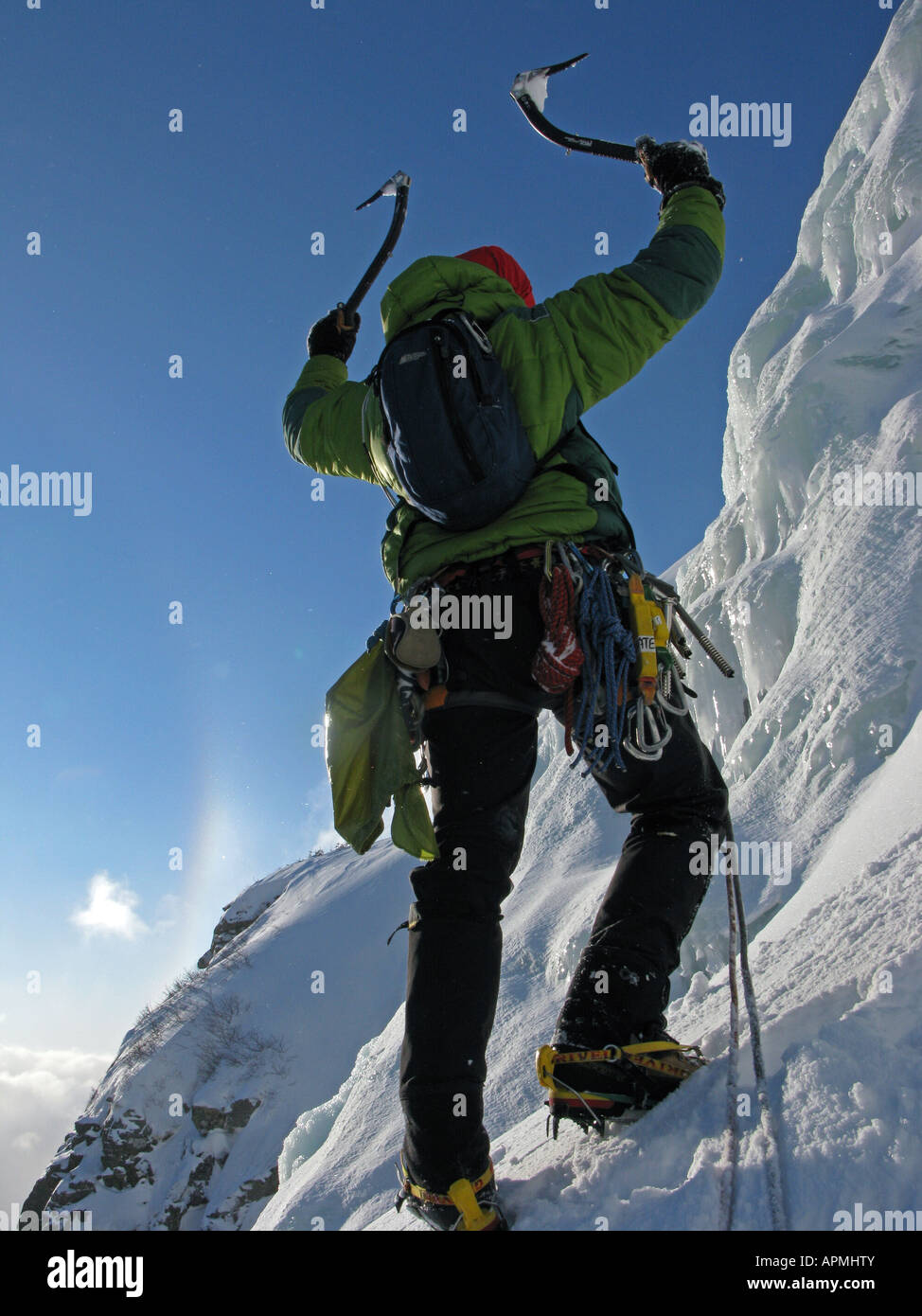 Un scalatore celebra come egli si avvicina alla parte superiore durante un 1000 piedi di arrampicata su ghiaccio in Terranova, Canada. Foto Stock