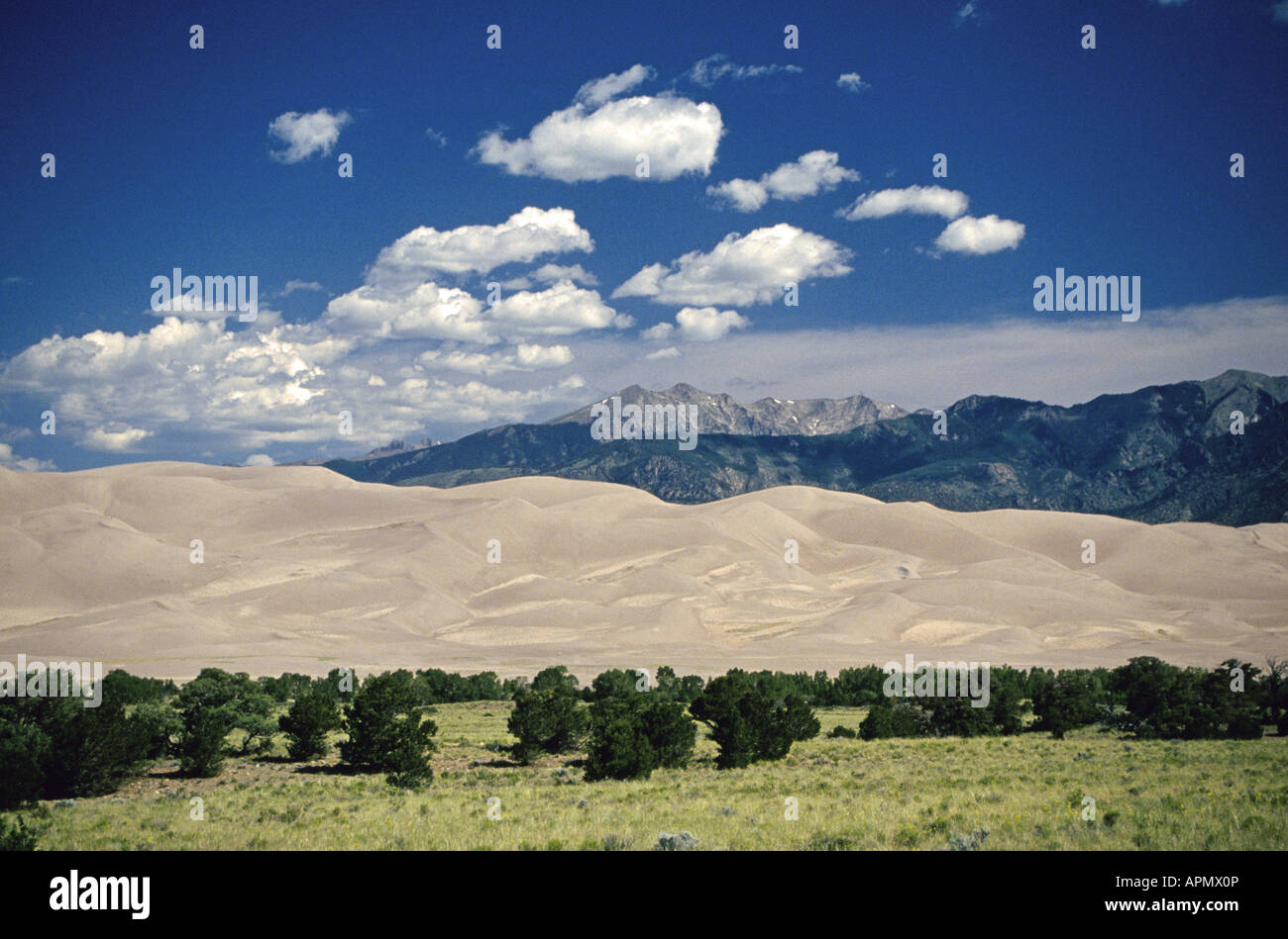 Una vista delle montagne rocciose e grandi dune di sabbia Monumento Nazionale nel sud del Colorado Foto Stock