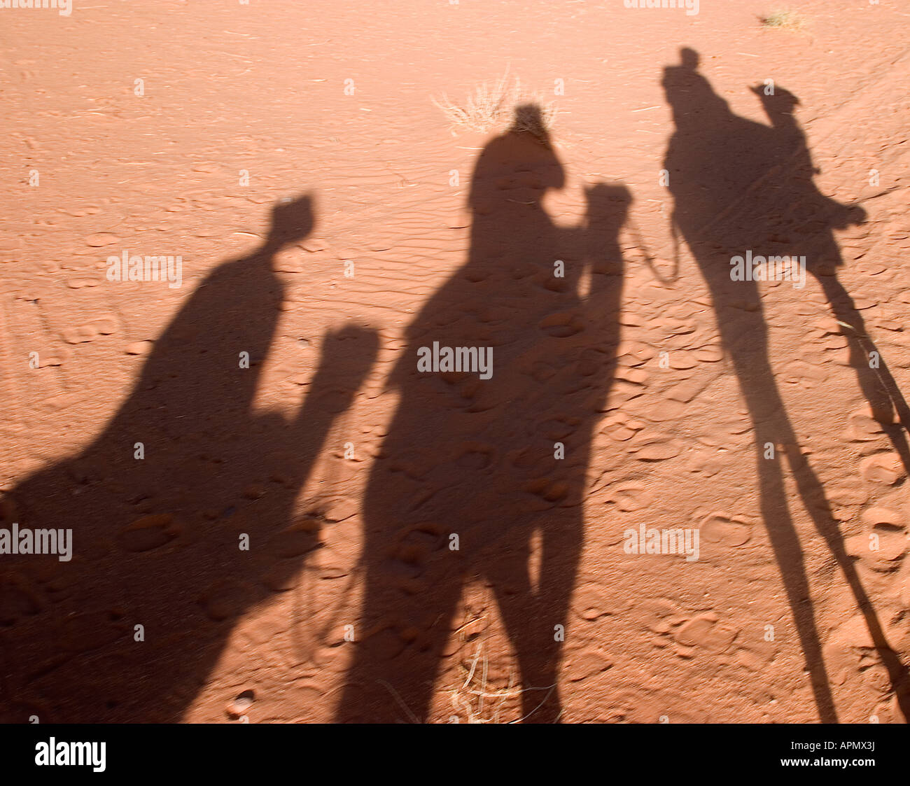 Camel Train ombre, Wadi Rum, Giordania Foto Stock