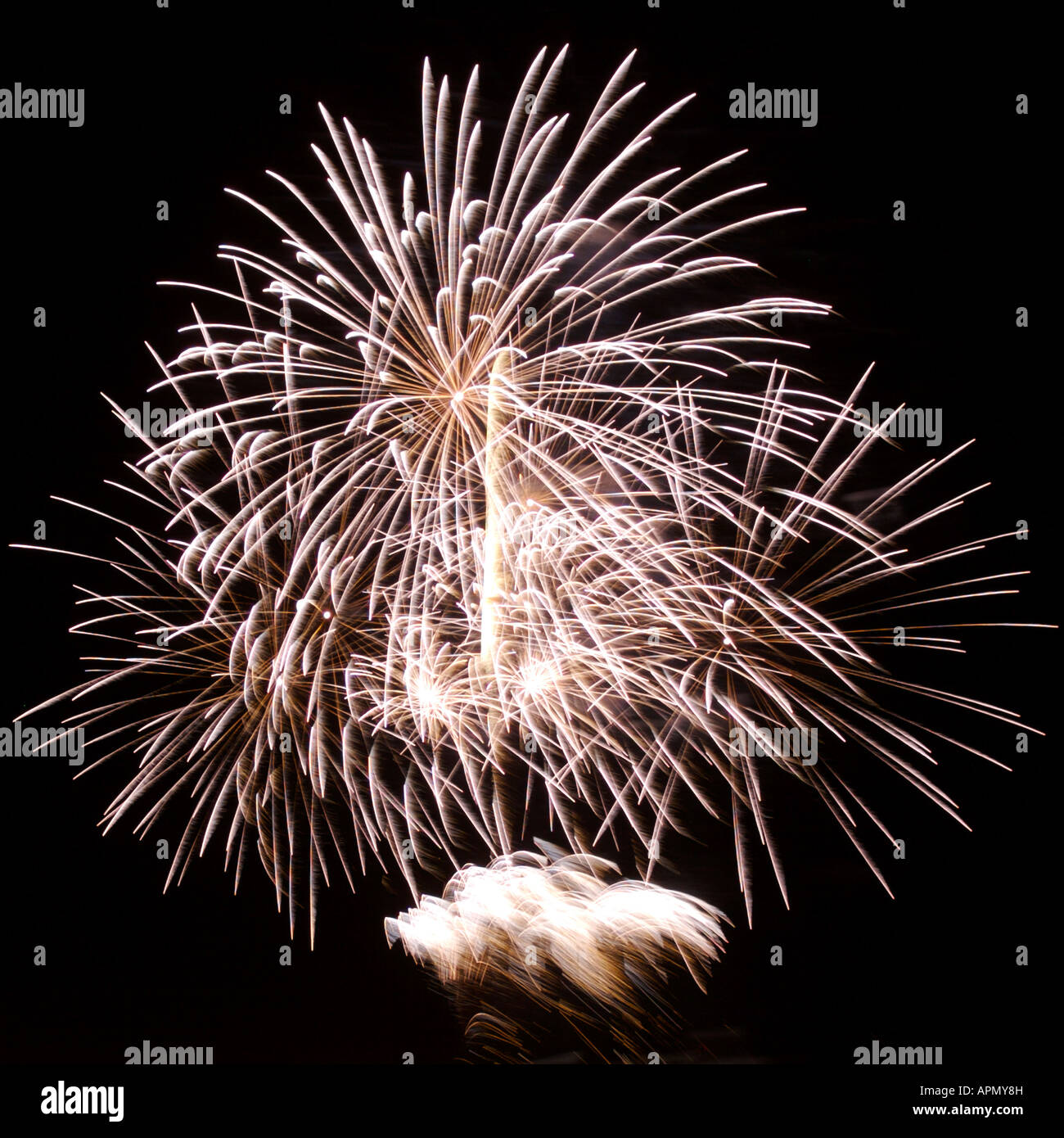 Fuochi d'artificio durante l'Aquatica festival 2008 e Auckland anniversario celebrazioni di fine settimana ad Auckland, in Nuova Zelanda. Foto Stock