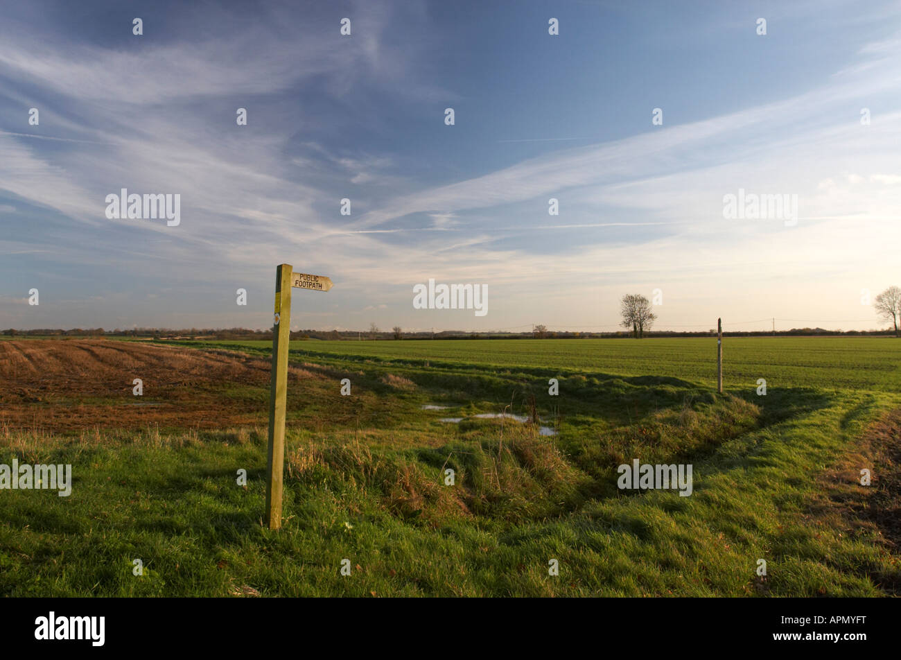 Sentiero segno angoli su strada a lunga distanza sentiero, Norfolk, Regno Unito Foto Stock
