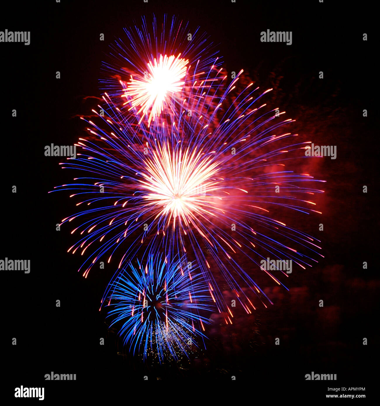 Fuochi d'artificio durante l'Aquatica festival 2008 e Auckland anniversario celebrazioni di fine settimana ad Auckland, in Nuova Zelanda. Foto Stock