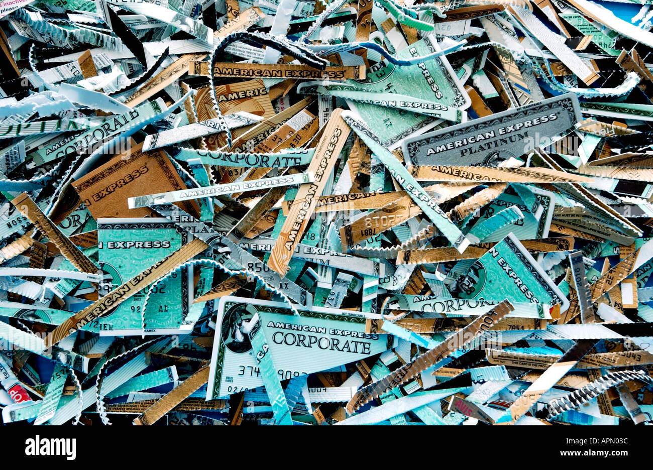 Plastica ridondante carte di credito shredded in un bidone dei rifiuti Foto Stock Plastica ridondante carte di credito shredded in un bidone dei rifiuti Foto Stock