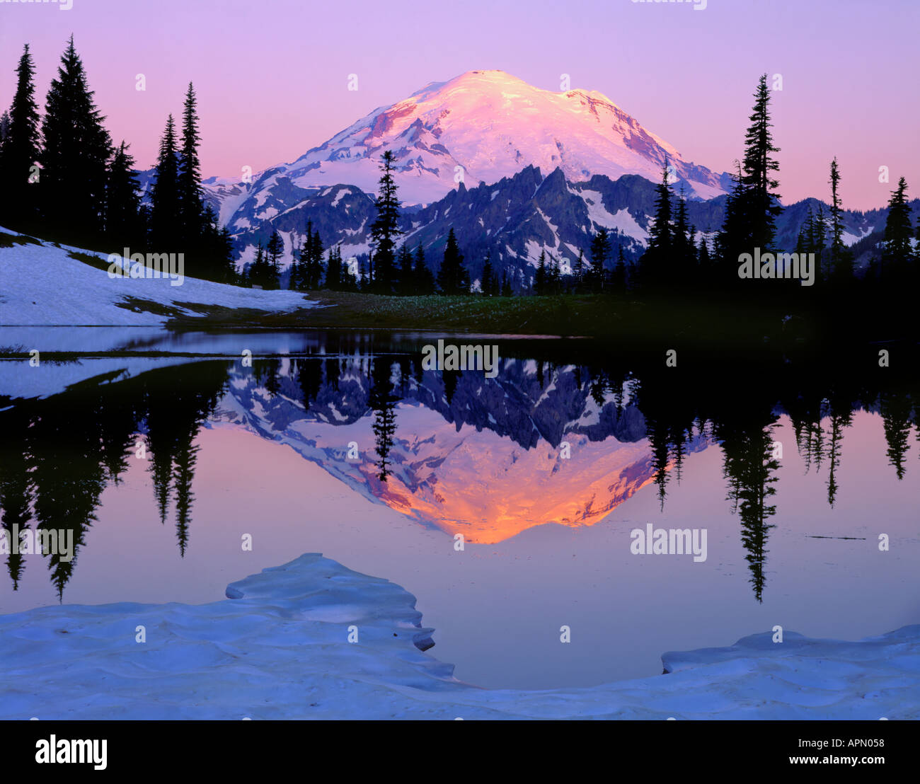 Il Parco Nazionale del Monte Rainier, WA: Alba la luce sul Monte Rainier ghiacciai con la riflessione su superfici ghiacciate Tipsoo superiore Lago Foto Stock