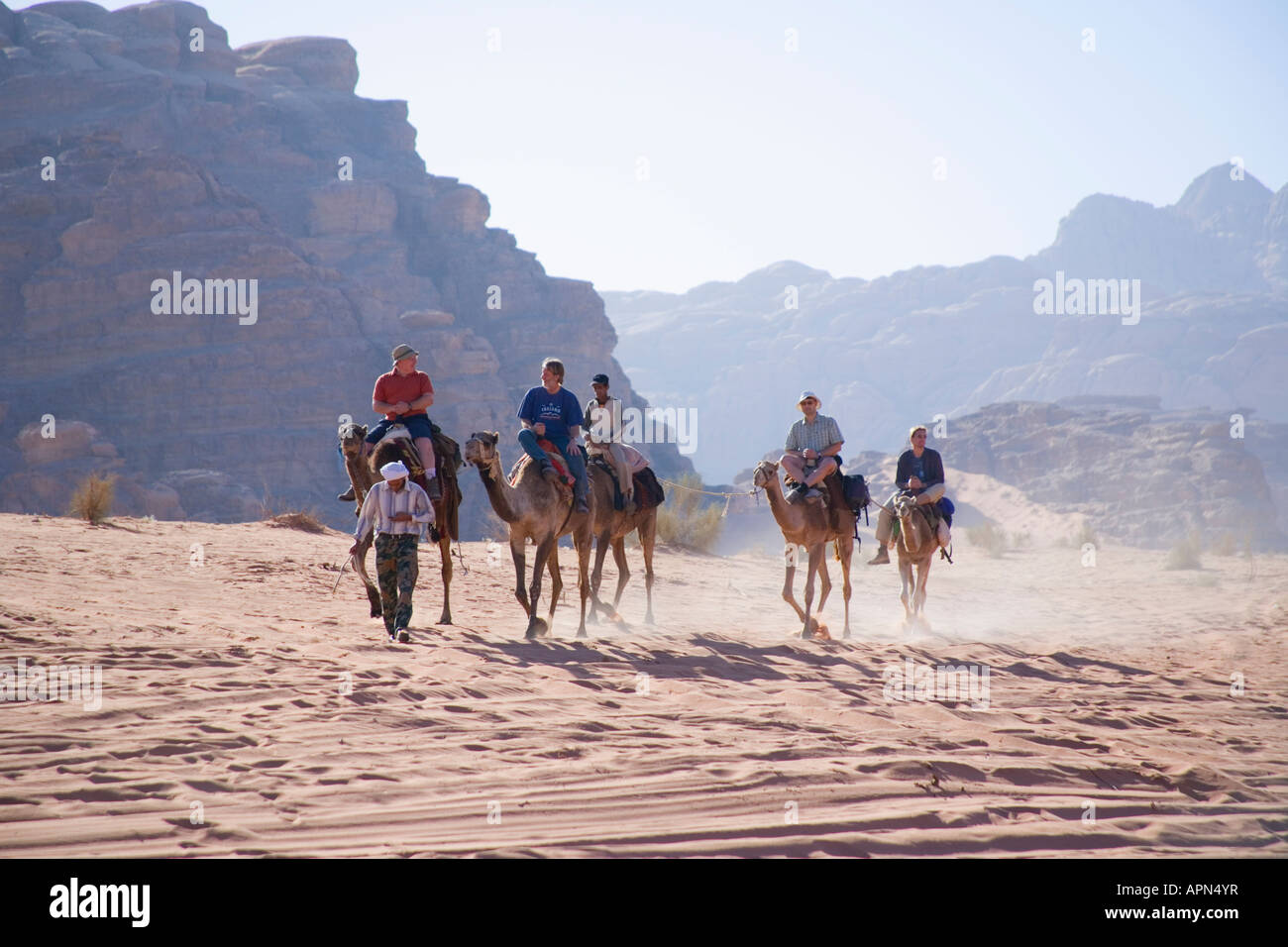 Corsa in Cammello, Wadi Rum, Petra, Giordania Foto Stock