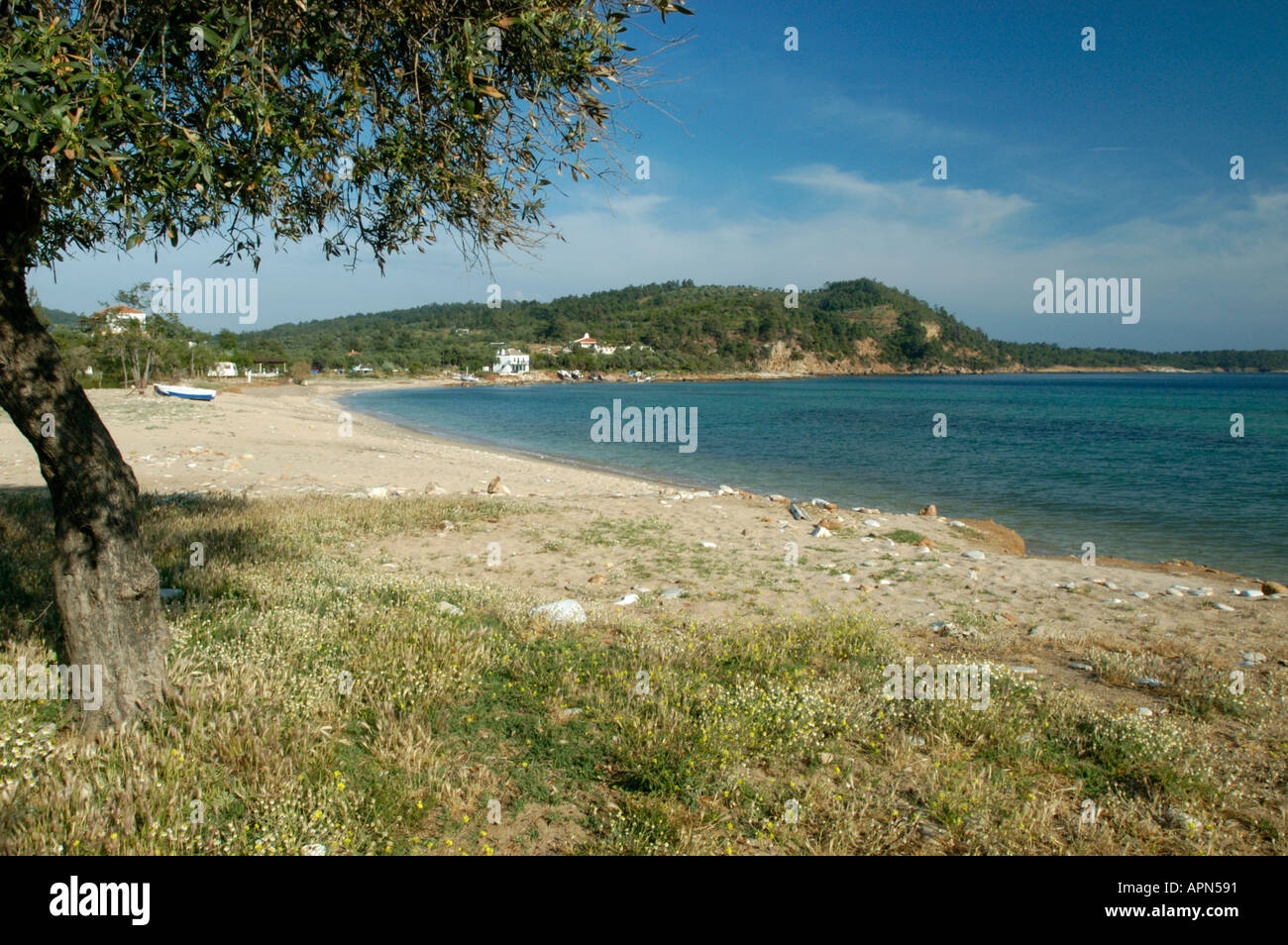 Spiaggia a Astris, Thassos, Grecia Foto Stock