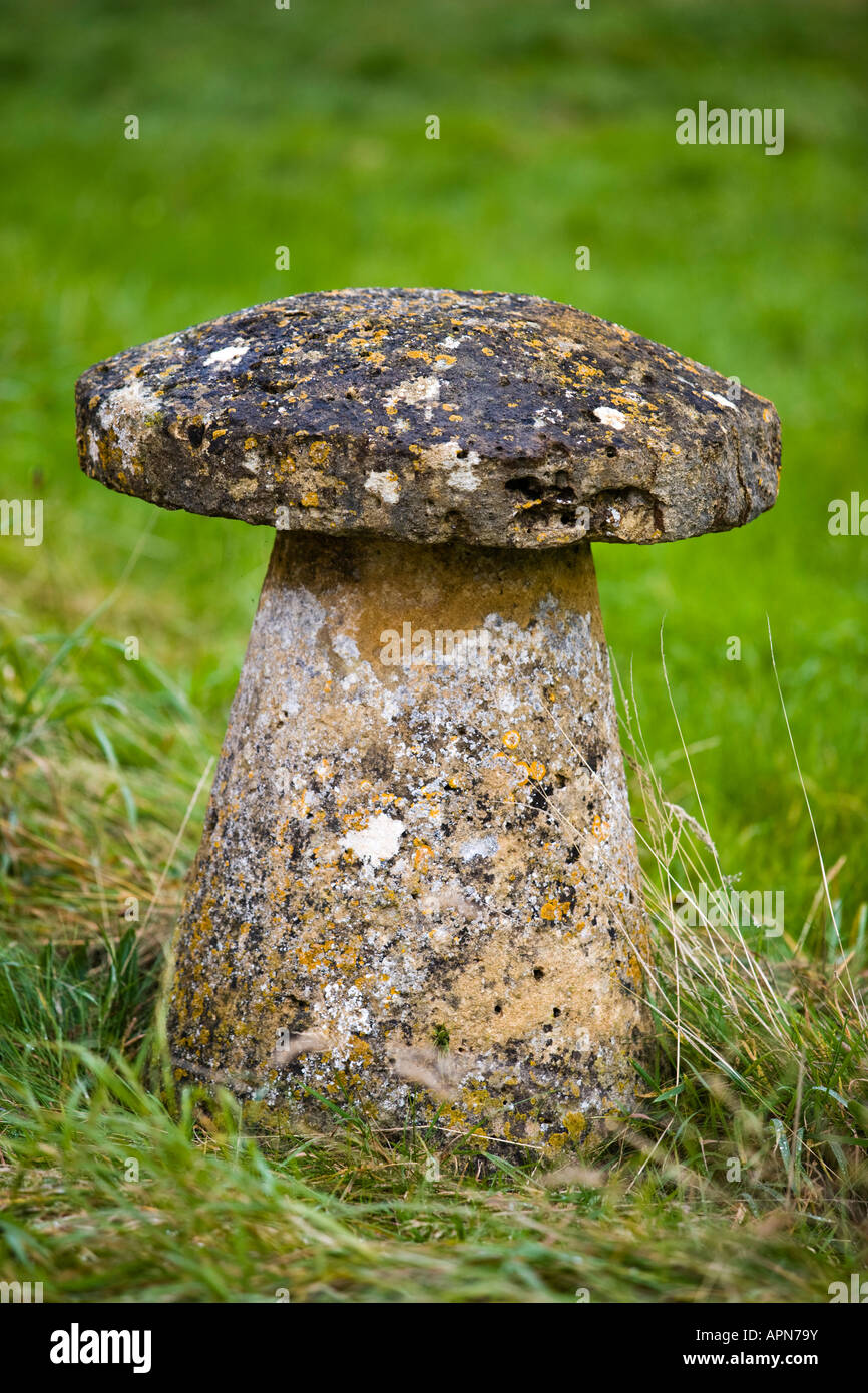 Staddle le pietre a Wyck Rissington GLOUCESTERSHIRE REGNO UNITO Foto Stock