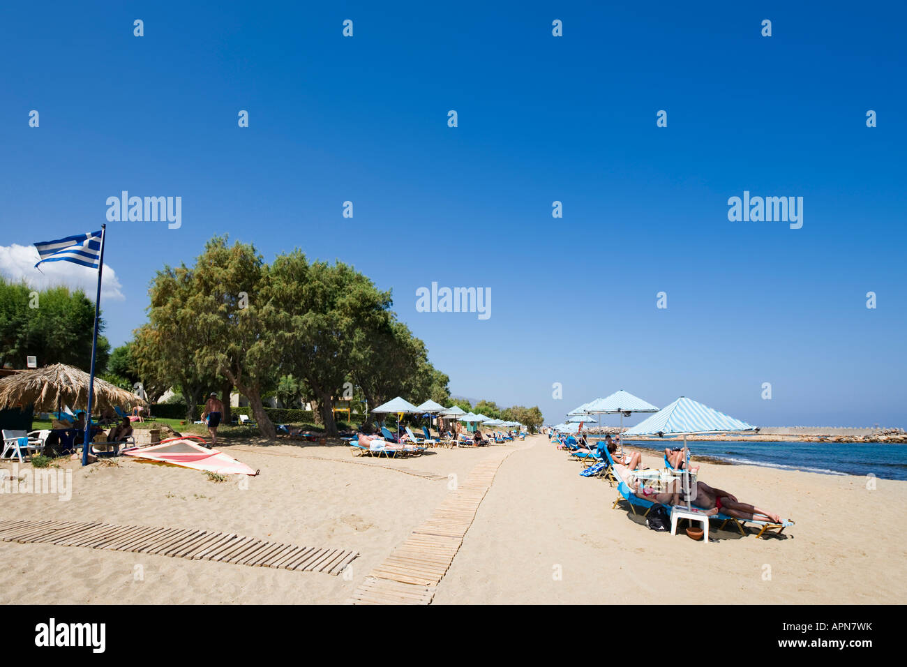 Spiaggia, Malia, costa nord di Creta, Grecia Foto Stock