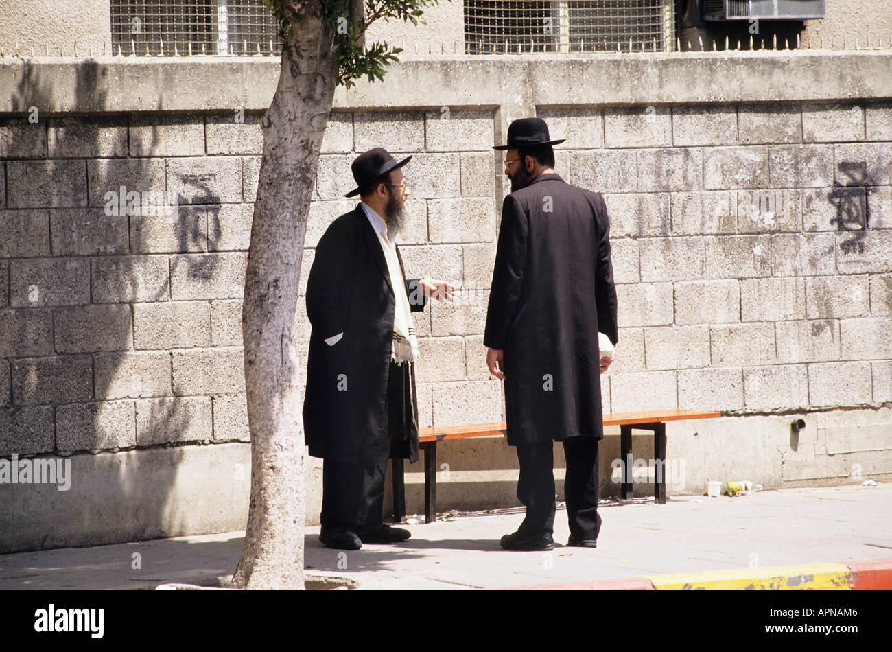 Un paio di ultra ortodosso Hasidics battuta di arresto per una sessione di conversazione testuale accanto a un albero nel Bene Beraq distretto di Tel Aviv sia indossando il tradizionale lungo nero cappotti e ampia colmato cappelli che riflettono la devozione al loro xvii c radici Foto Stock