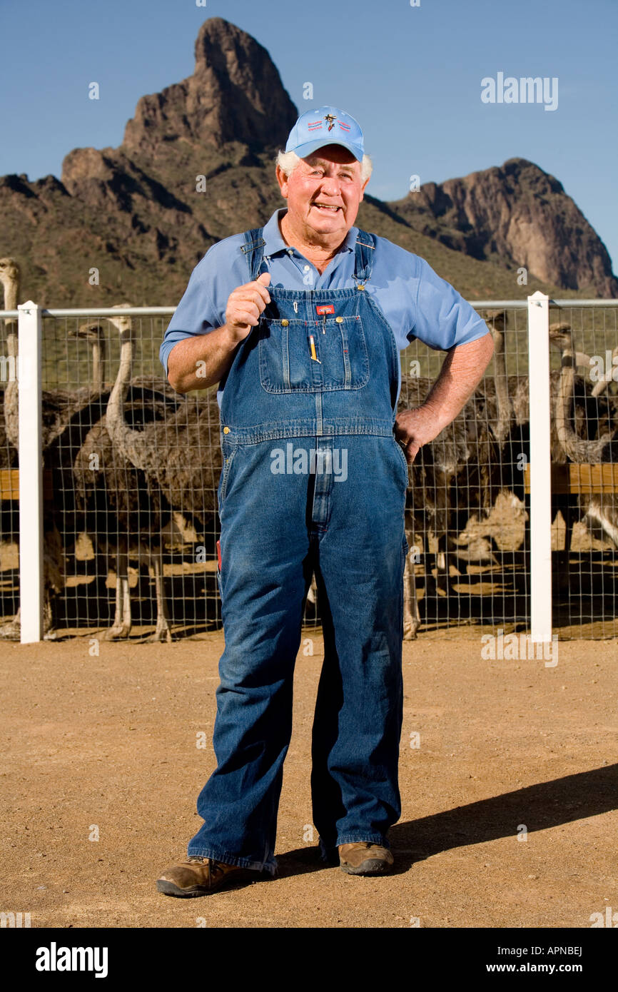 Rooster Cogburn Ostrich Ranch in Arizona, un'attrazione stravagante lungo la strada con struzzi, animali e divertimento per tutta la famiglia lungo l'autostrada. Foto Stock