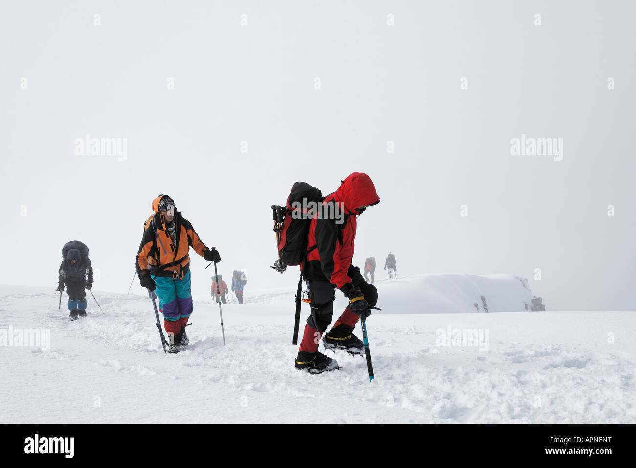 Alpinisti di avvicinarsi al vertice di Stok Kangri montagna in Ladakh India Foto Stock