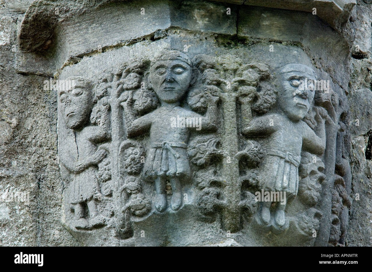 Abbazia di Boyle, nella contea di Roscommon, Irlanda. Fondata dai monaci cistercensi nel 1161. Stone carving dettaglio sul pilastro capitale. Foto Stock