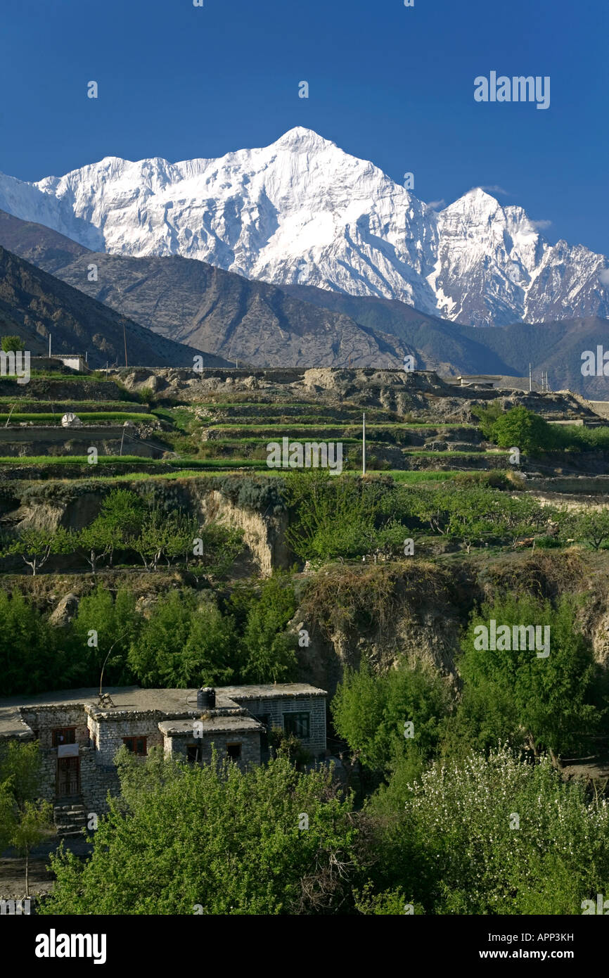 Nilgiri Nord (7061m). Vista dal villaggio di Kagbeni. Circuito di Annapurna trek. Mustang. Il Nepal Foto Stock