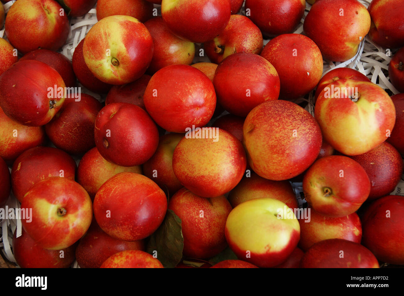 Scatola di imballaggio di nettarine fresche mercati eumundi Noosa Queensland Australia 8388 dsc Foto Stock