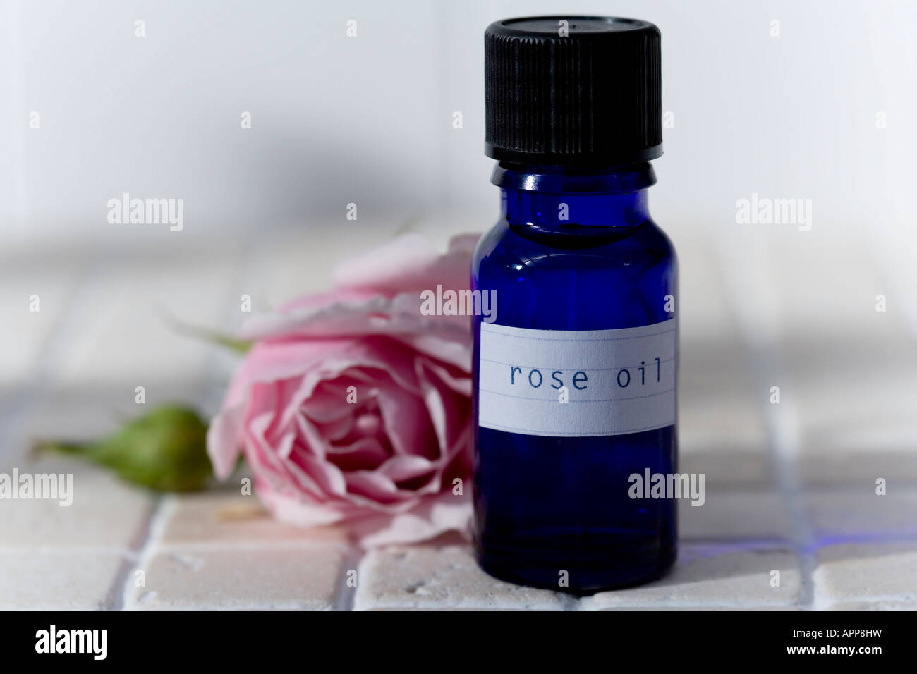 Oli essenziali: olio di Rosa Foto Stock