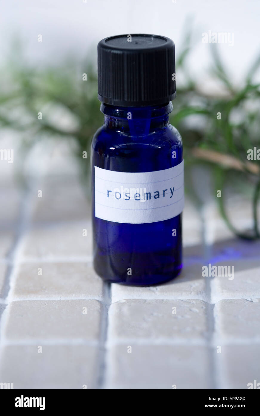 Oli essenziali: olio di rosmarino Foto Stock
