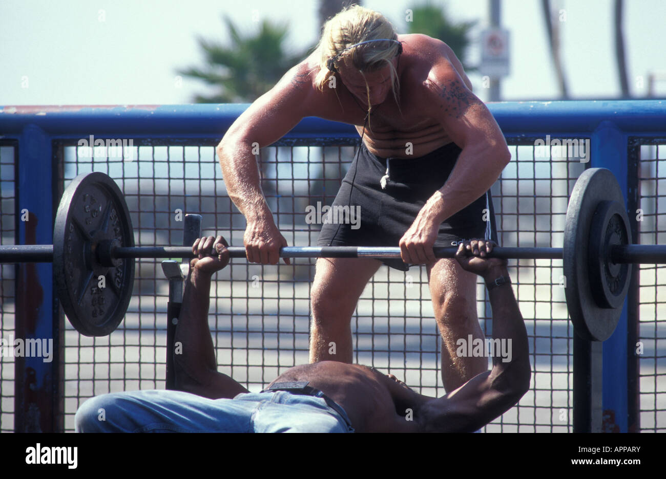 Weightlifter al muscolo in spiaggia venezia Los Angeles California USA Foto Stock
