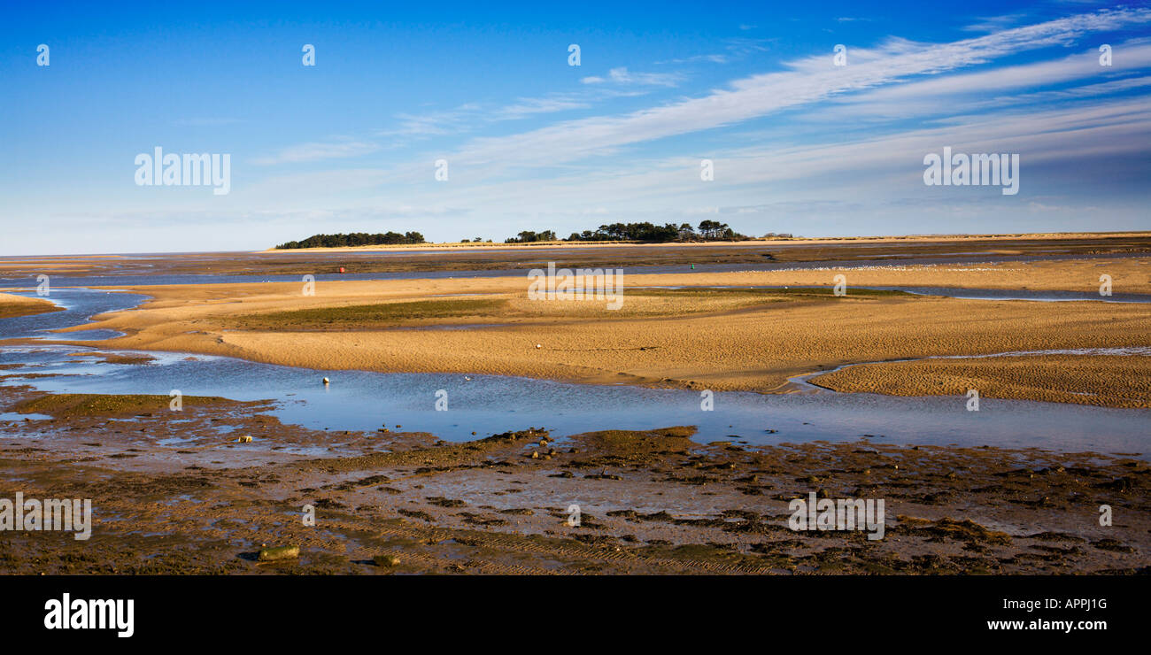 'Pozzetti accanto al mare' estuario Costieri a Bassa marea di esporre le barene e velme, il Norfolk Coast Inghilterra REGNO UNITO Foto Stock