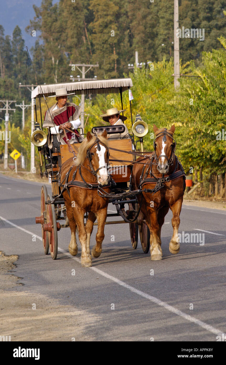 Cavalli e carrello Valle Colchagua Cile Foto Stock