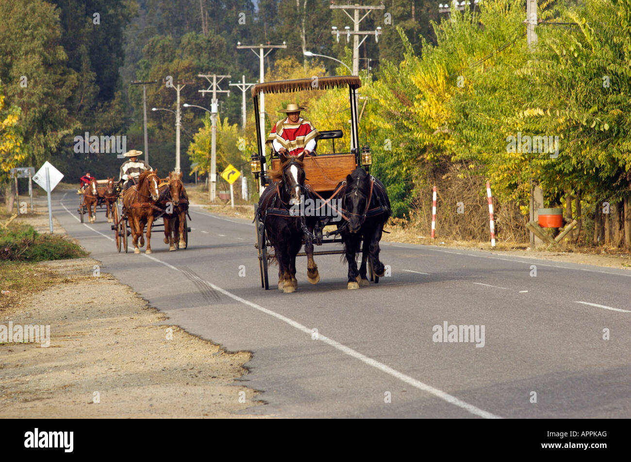 Cavalli e carrozze Valle Colchagua Cile Foto Stock