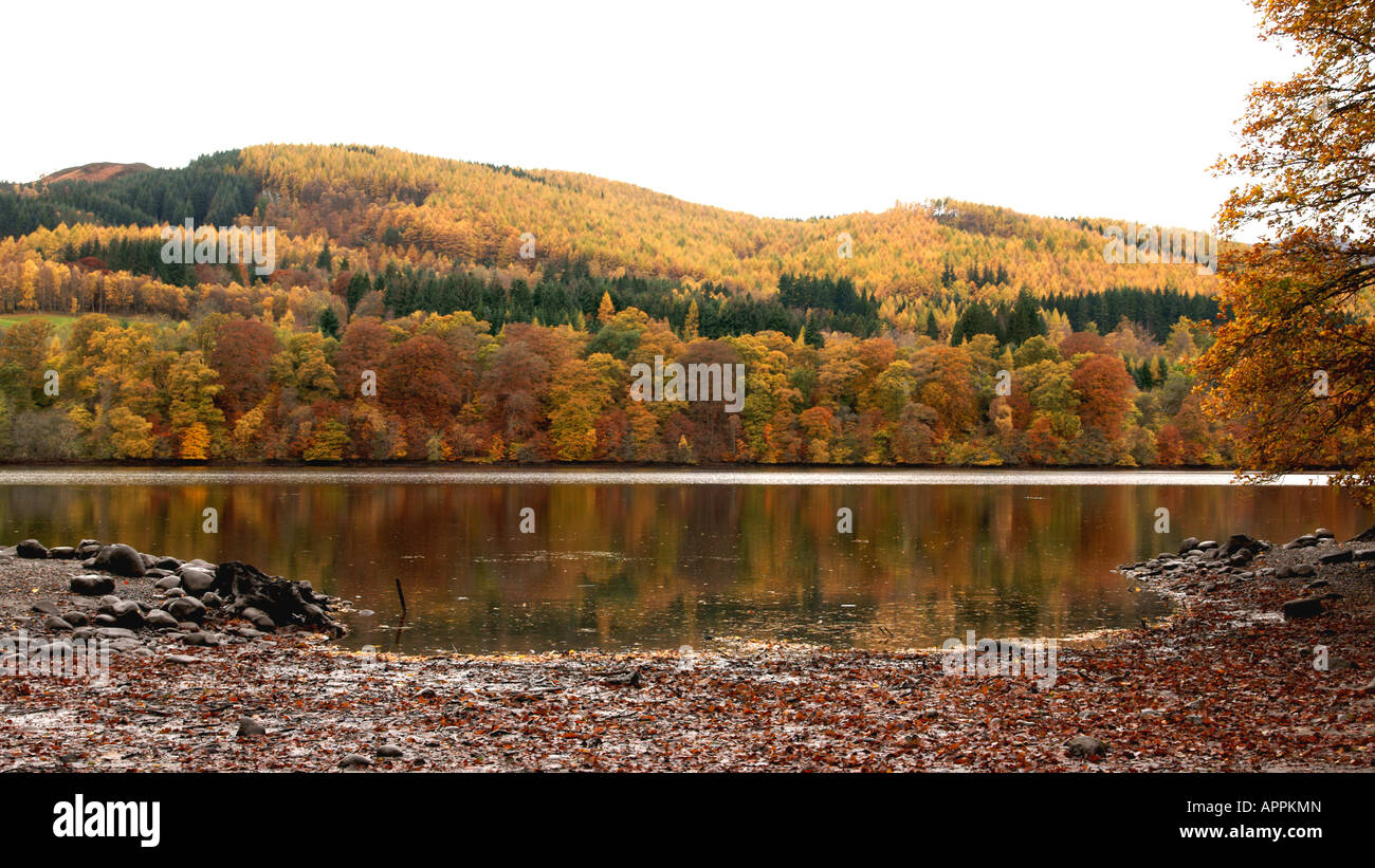 I colori autunnali Loch Faskally Pitlochry Scozia Scotland Foto Stock