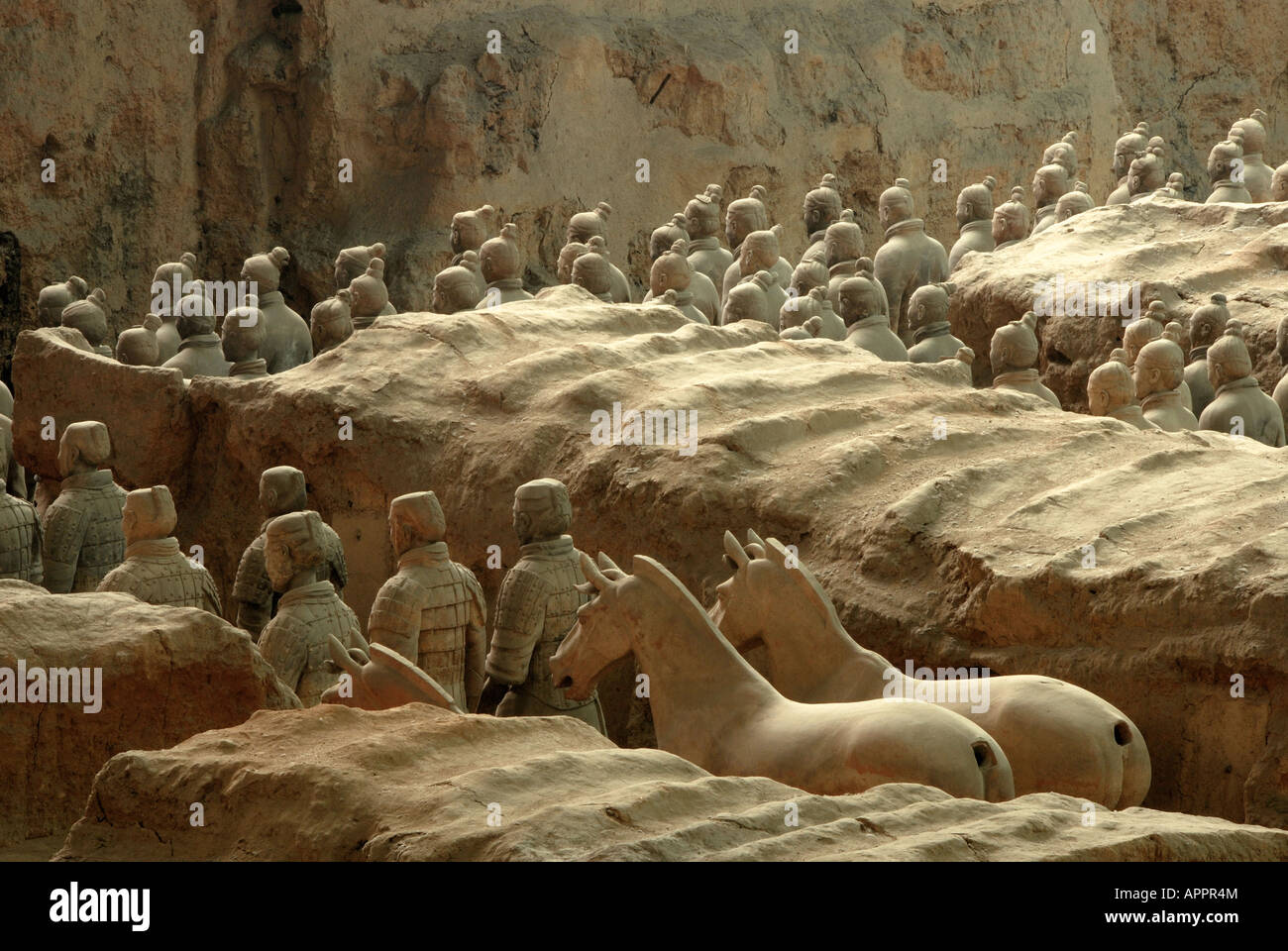 All'Armata di Terracotta e i Cavalli di Qin Shi Huang, il primo imperatore della Cina Foto Stock