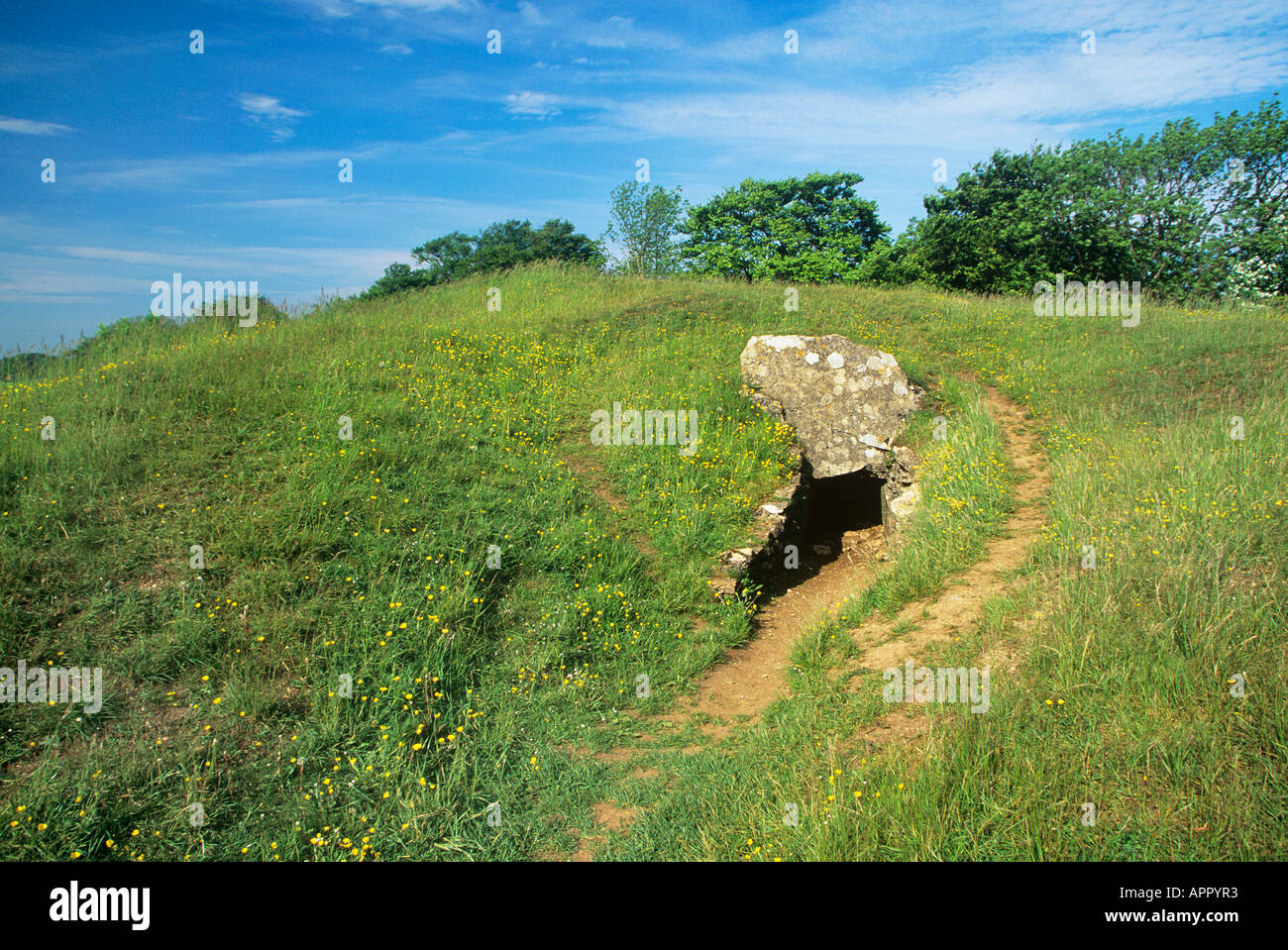 Un piccolo foro in un campo è l'entrata di Hetty Pegler s Tump un età di ferro long barrow a Uley Foto Stock