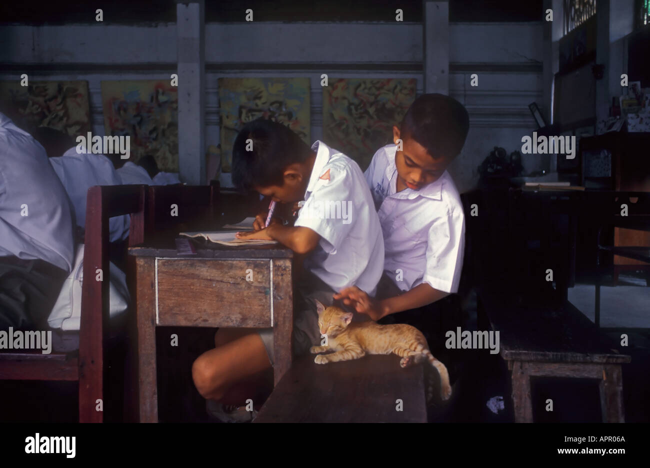 I bambini in una classe di Wat Po in Bangkok distratti da un gatto Thailandia Foto Stock