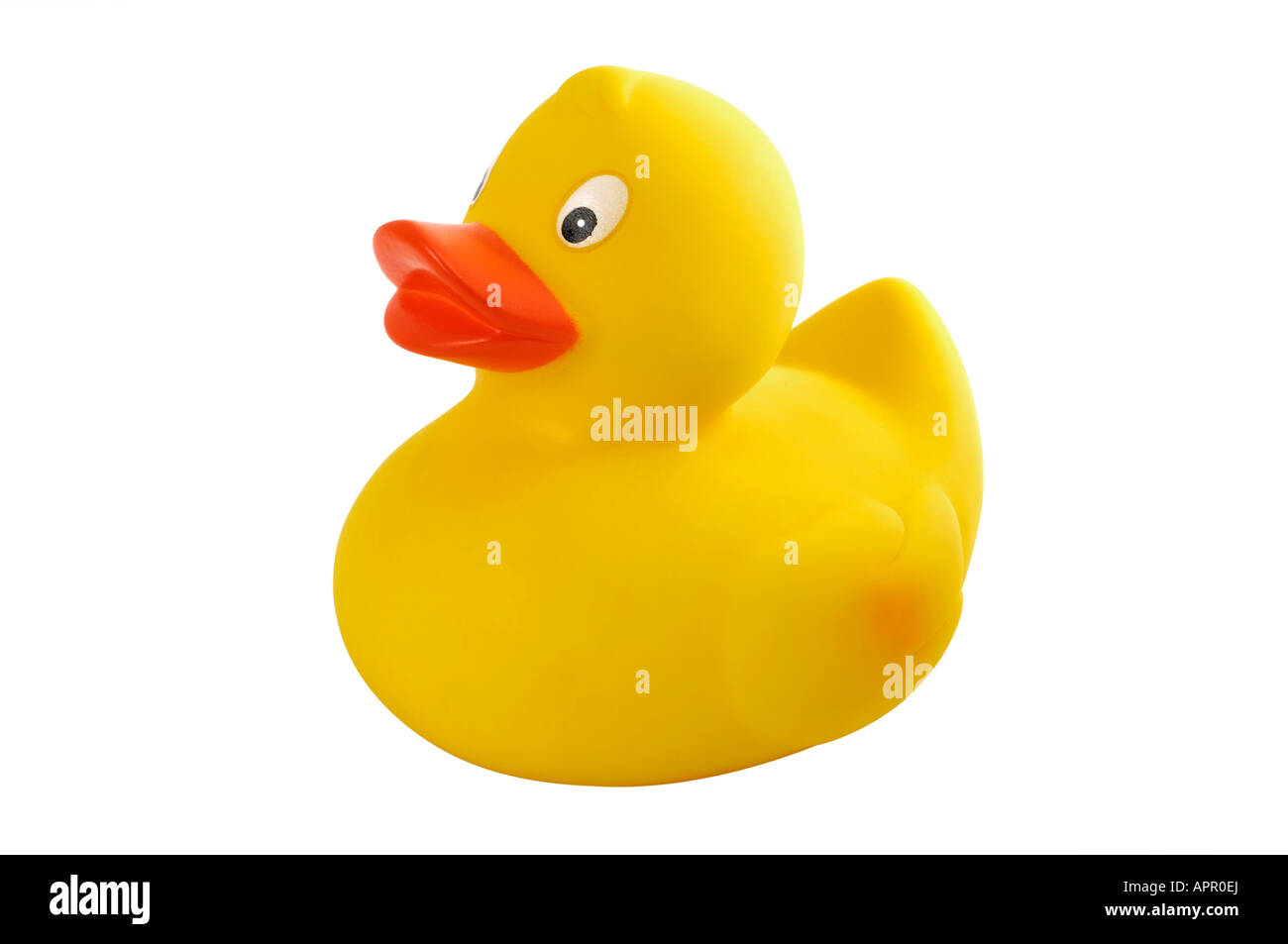 Rubber Duck giocattolo da bagno Foto Stock