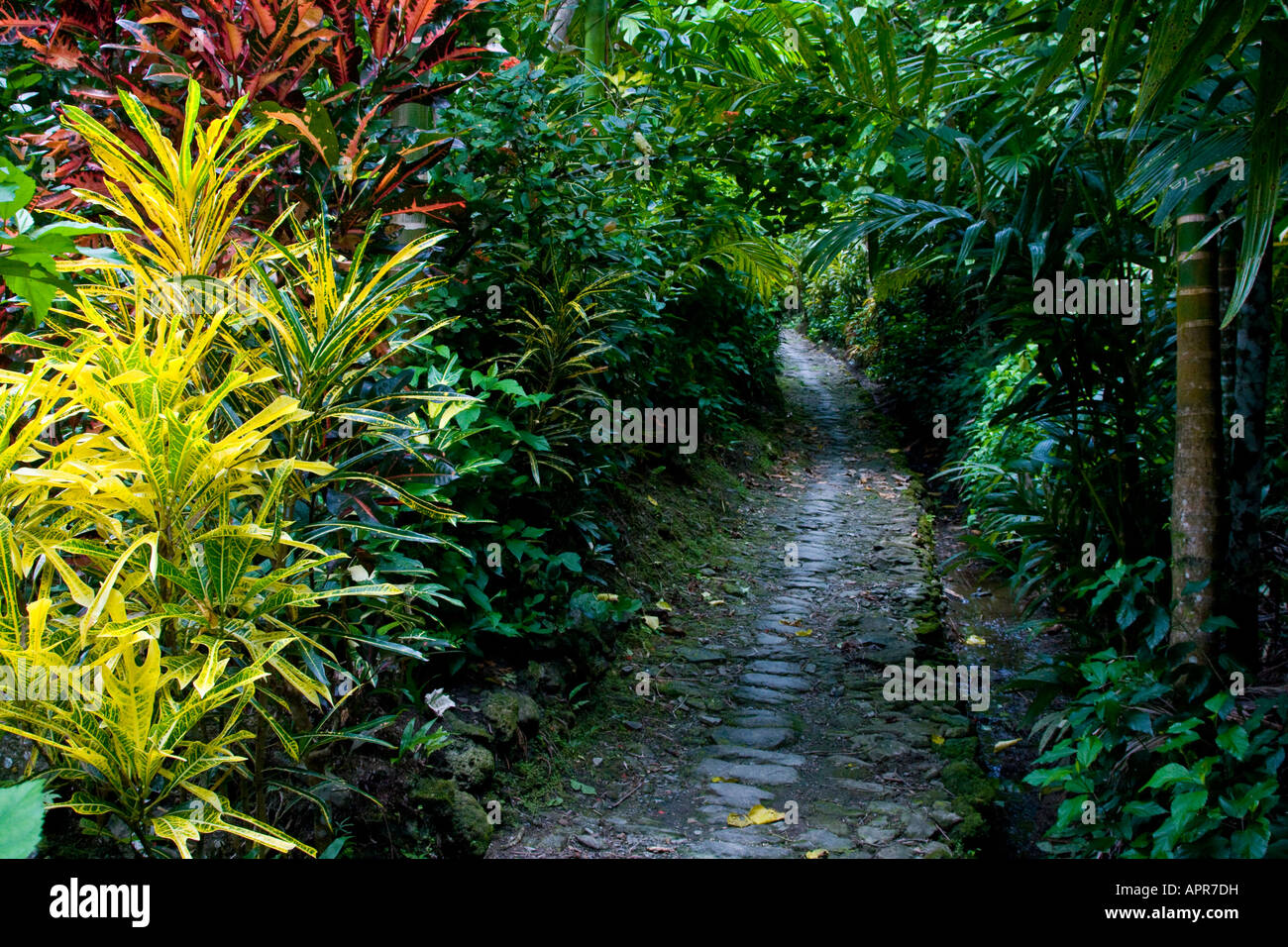 Antico in pietra marciapiede sull isola di Yap Foto Stock