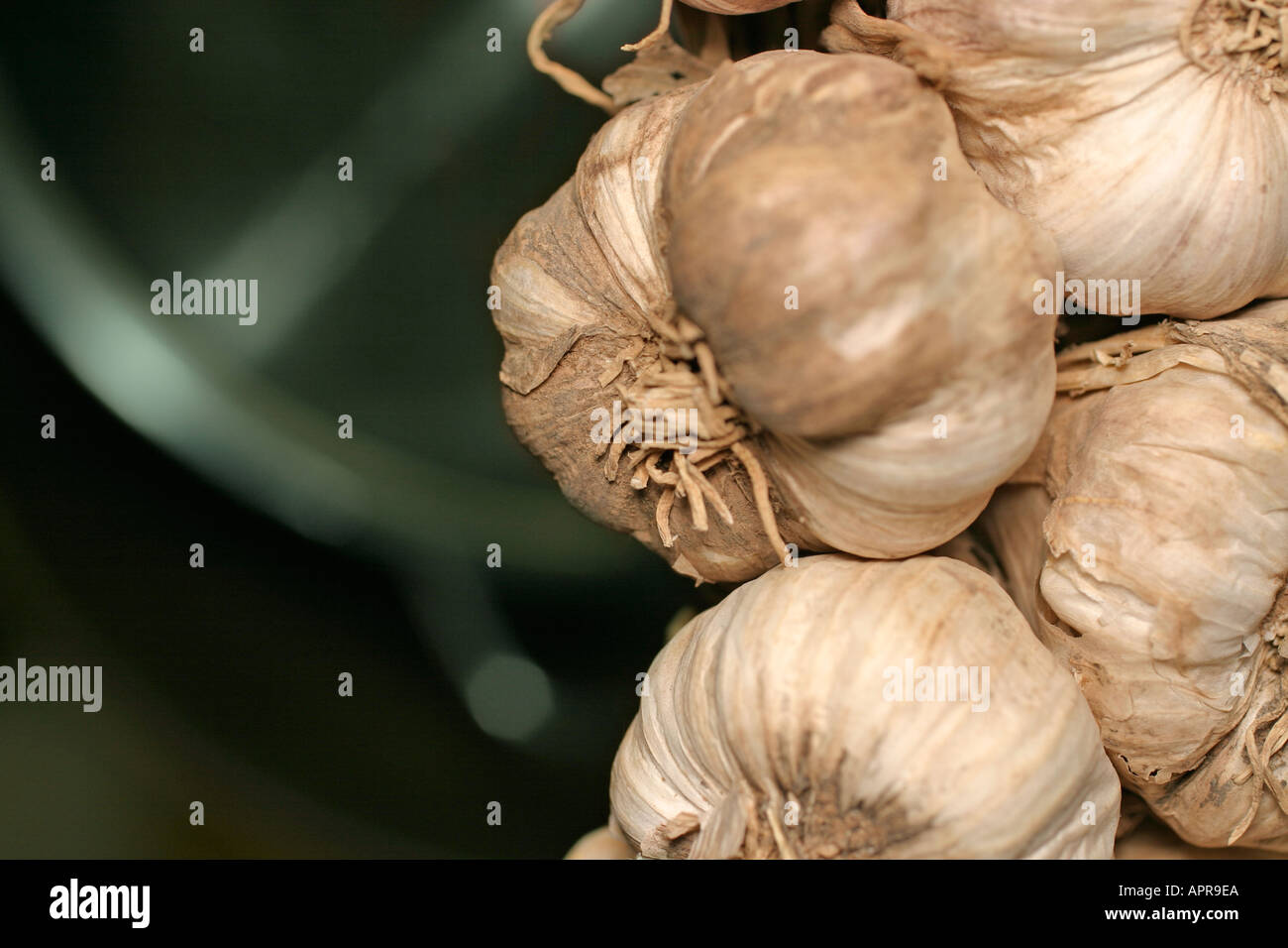 Aglio Kashmir Intero – Aglio Himalayano Puro, Erbe Indiane (da 50g A 1kg)