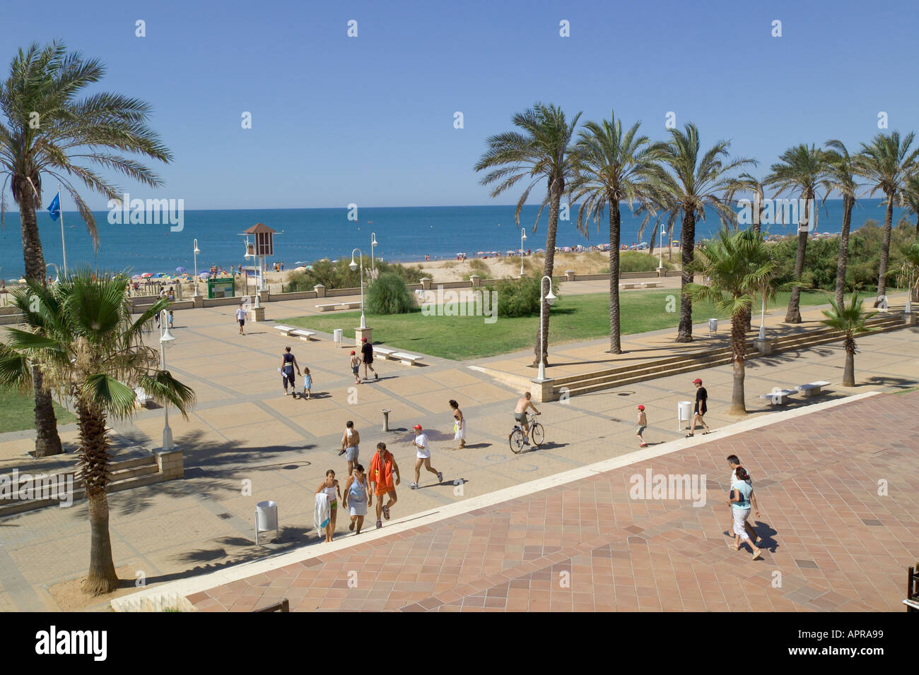 Spagna Costa de la Luz, Islantilla, fiancheggiata da palme lungomare e la spiaggia Foto Stock