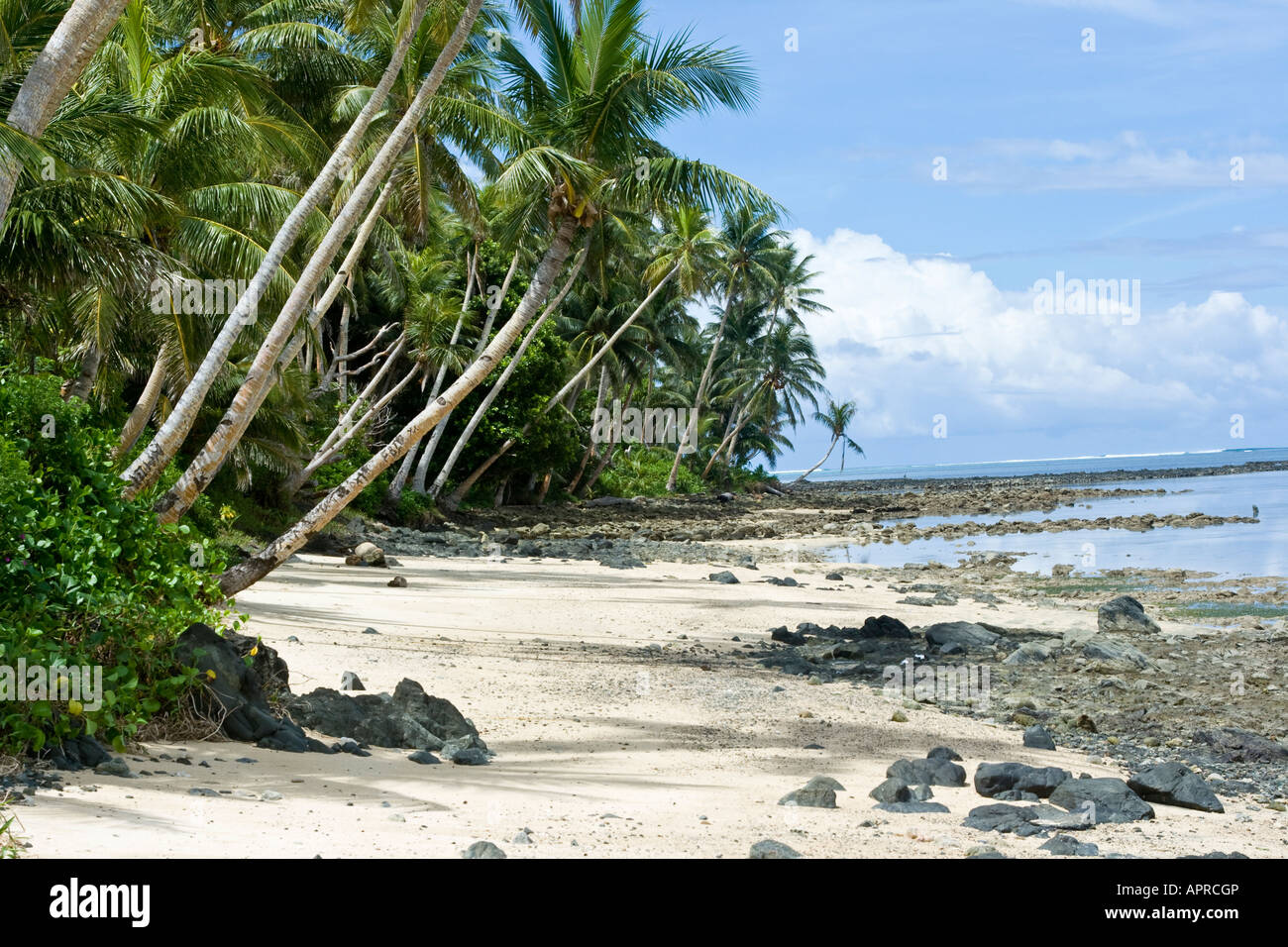 Una bellissima spiaggia tropicale sull'Isola di Yap Foto Stock