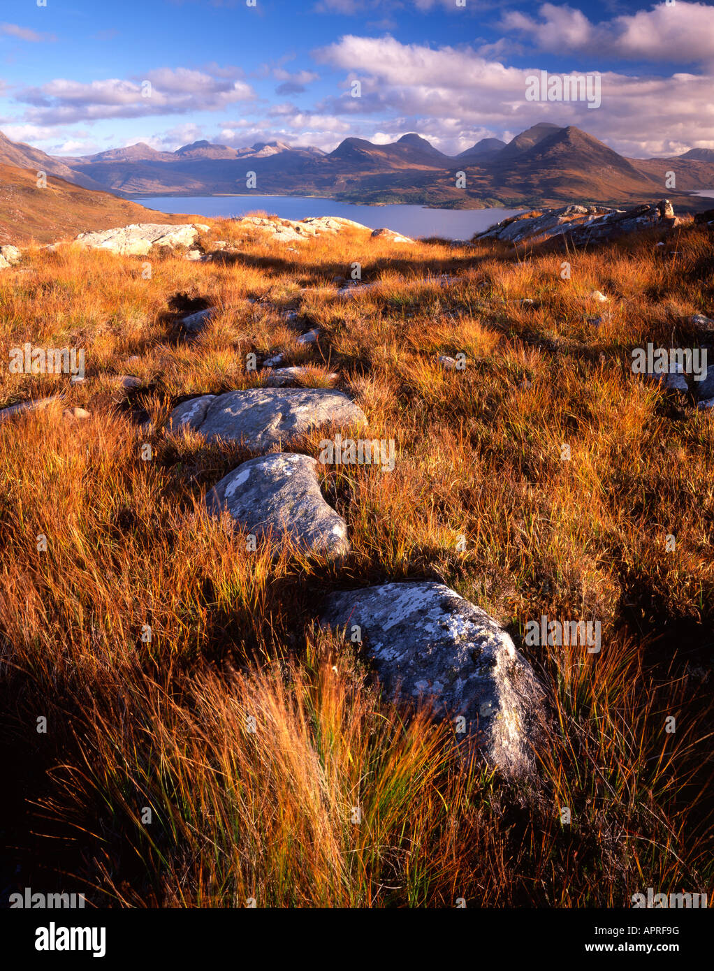 Beinn Damh visto di fronte superiore di Loch Torridon, Scotland, Regno Unito. Foto Stock