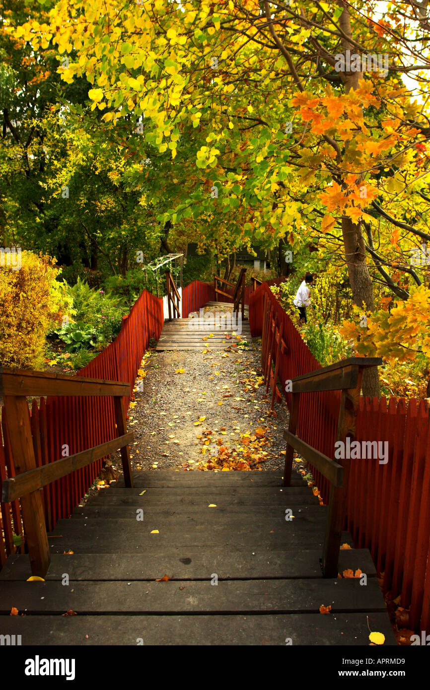 Autunno scendendo le scale del parco Foto Stock