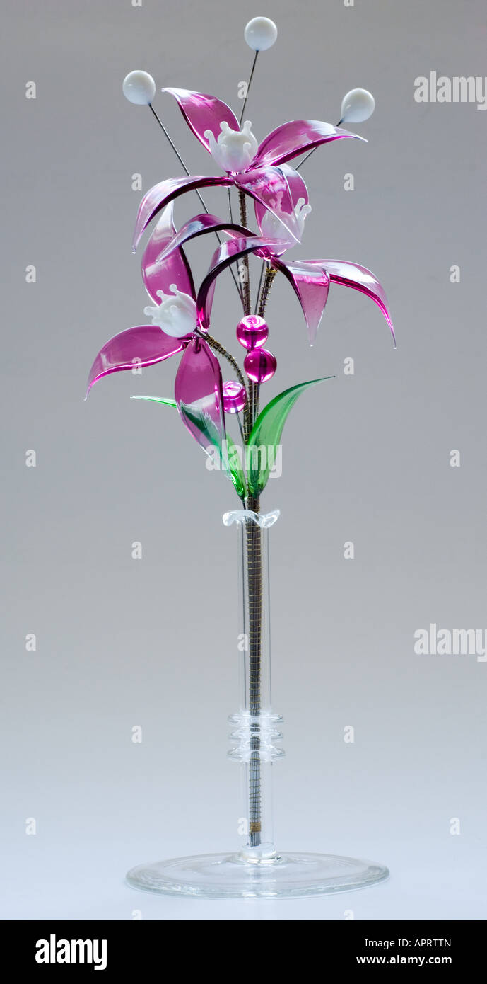 Fiori lilla fatta di occhiali Foto Stock