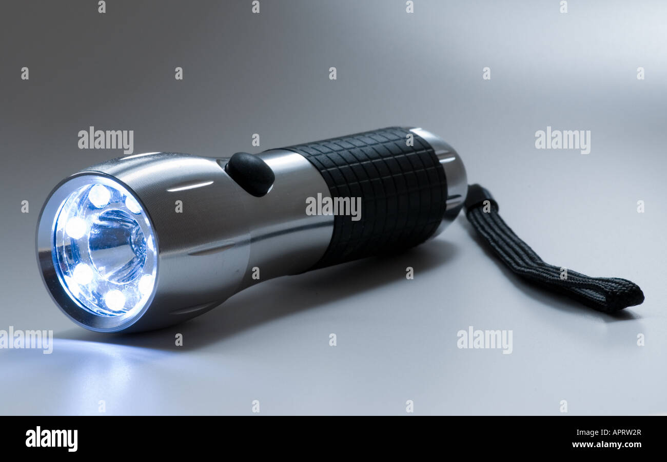 Luce diurna torcia elettrica con LED Foto Stock