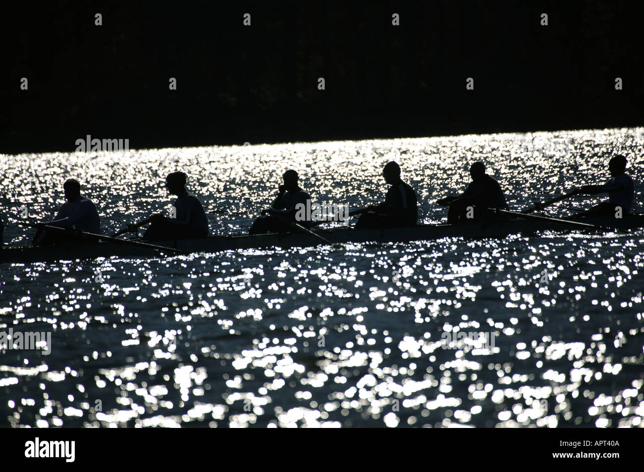 Gara di canottaggio sul lago Foto Stock