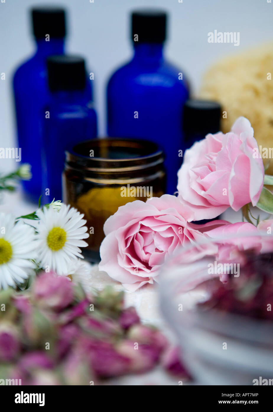 Oli essenziali con erbe fresche e rose con base organica e la crema di latte e una spugna naturale Foto Stock