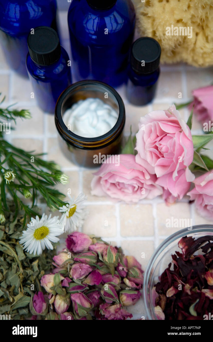 Oli essenziali con erbe fresche e rose con base organica e la crema di latte e una spugna naturale Foto Stock