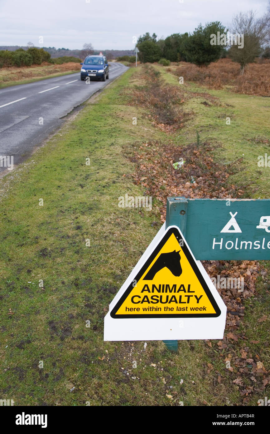 Animale ferito il segno inviato sul lato della strada alla collina Thorney New Forest Hampshire REGNO UNITO Foto Stock