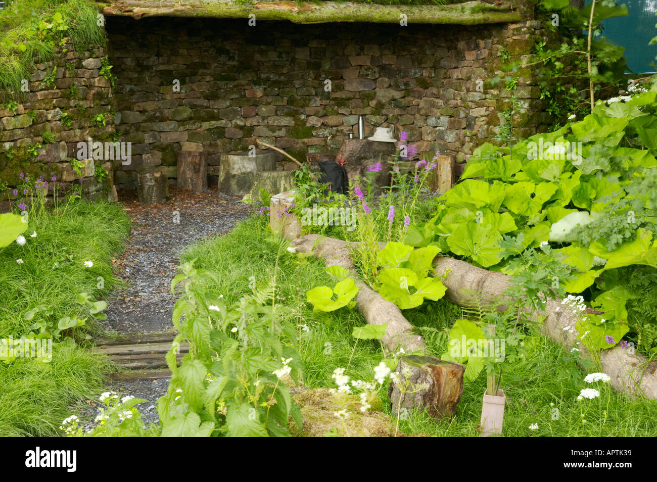 Tatton Flower Show giardino naturale con una baracca e butterbur fogliame Foto Stock