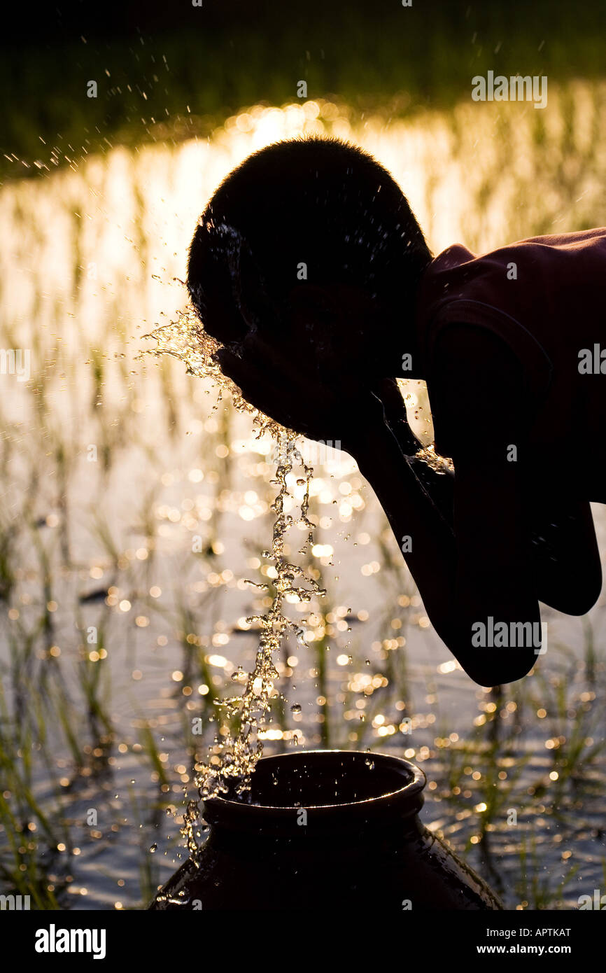 Silhouette di un rurale villaggio indiano boy volto di lavaggio da una pentola di creta accanto a un risone campo. Andhra Pradesh, India Foto Stock