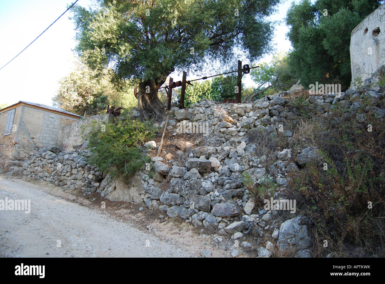 Skala vecchio villaggio 125 olio d'oliva premere no 2610 kephalonia grecia Foto Stock