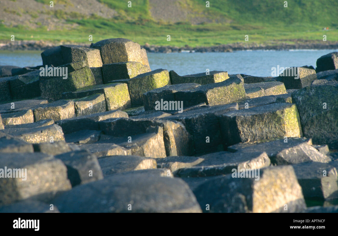 Dettaglio delle colonne di basalto al Giants Causeway Irlanda del Nord Foto Stock