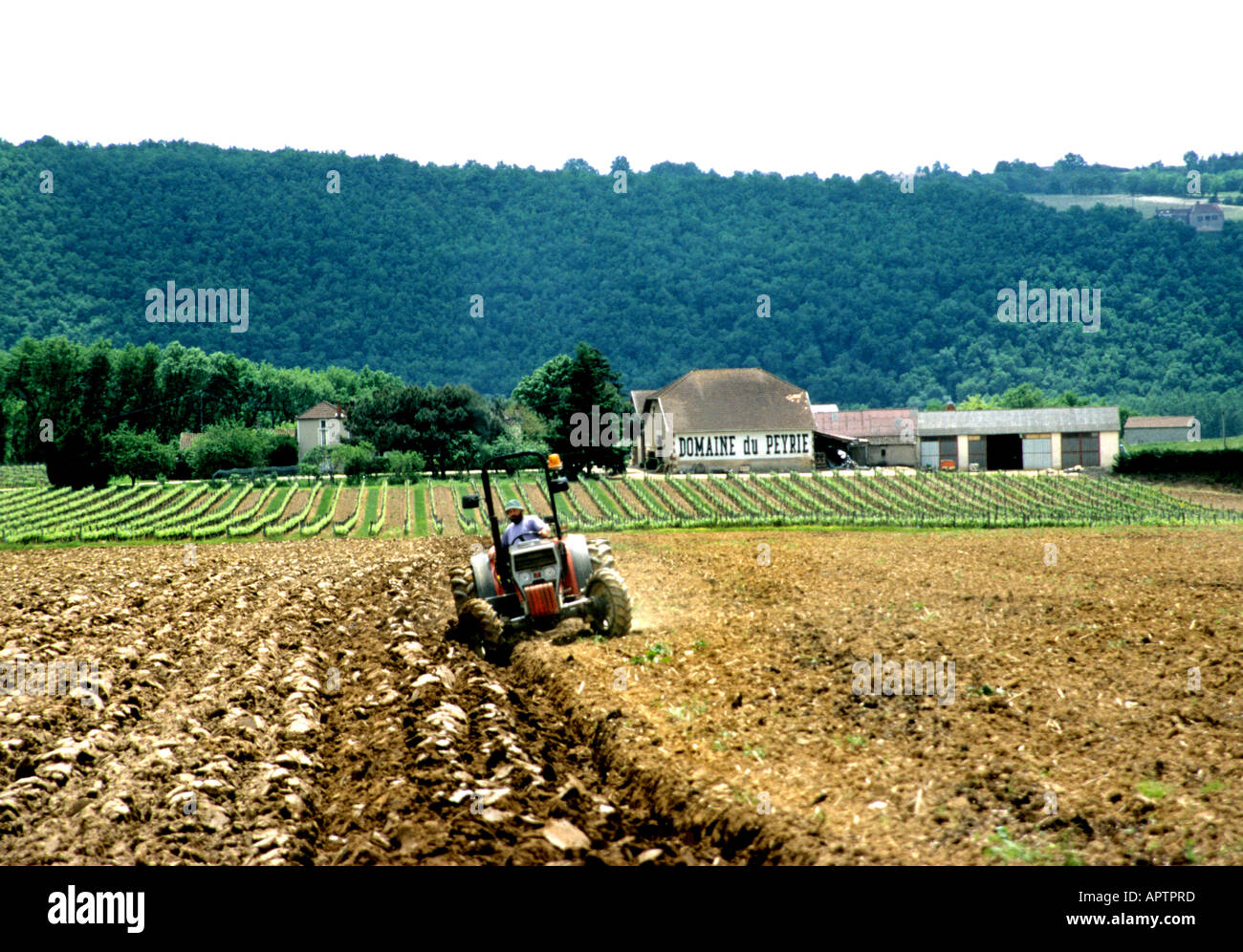 Francia vino annata di raccolto di uve Vigna Agricoltura Cahors Floissac & Gillis Foto Stock