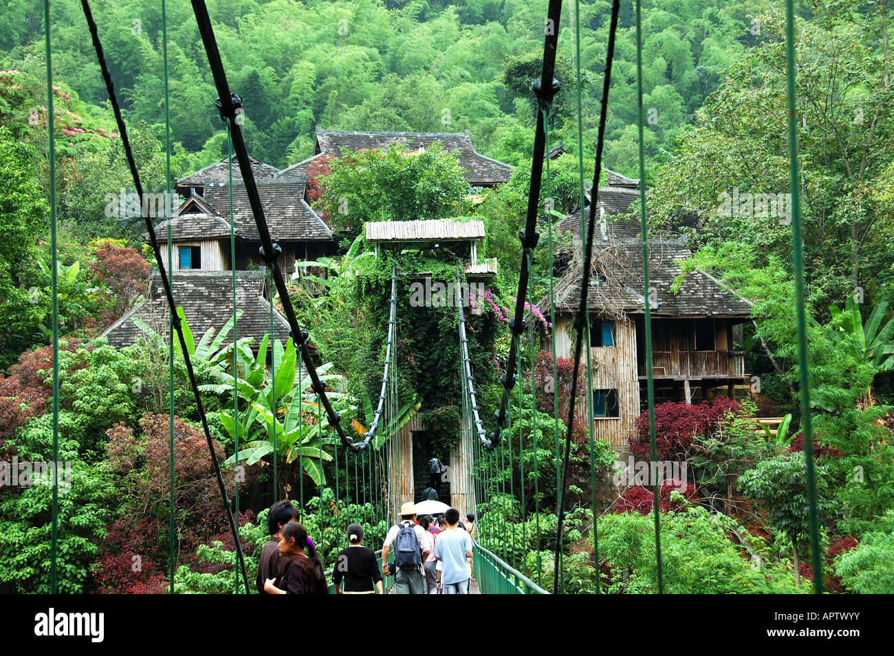 Un ponte sospeso conduce a un tradizionale villaggio costruito nel verde lussureggiante della foresta pluviale. Xishuanbanna, Yunnan in Cina. Foto Stock