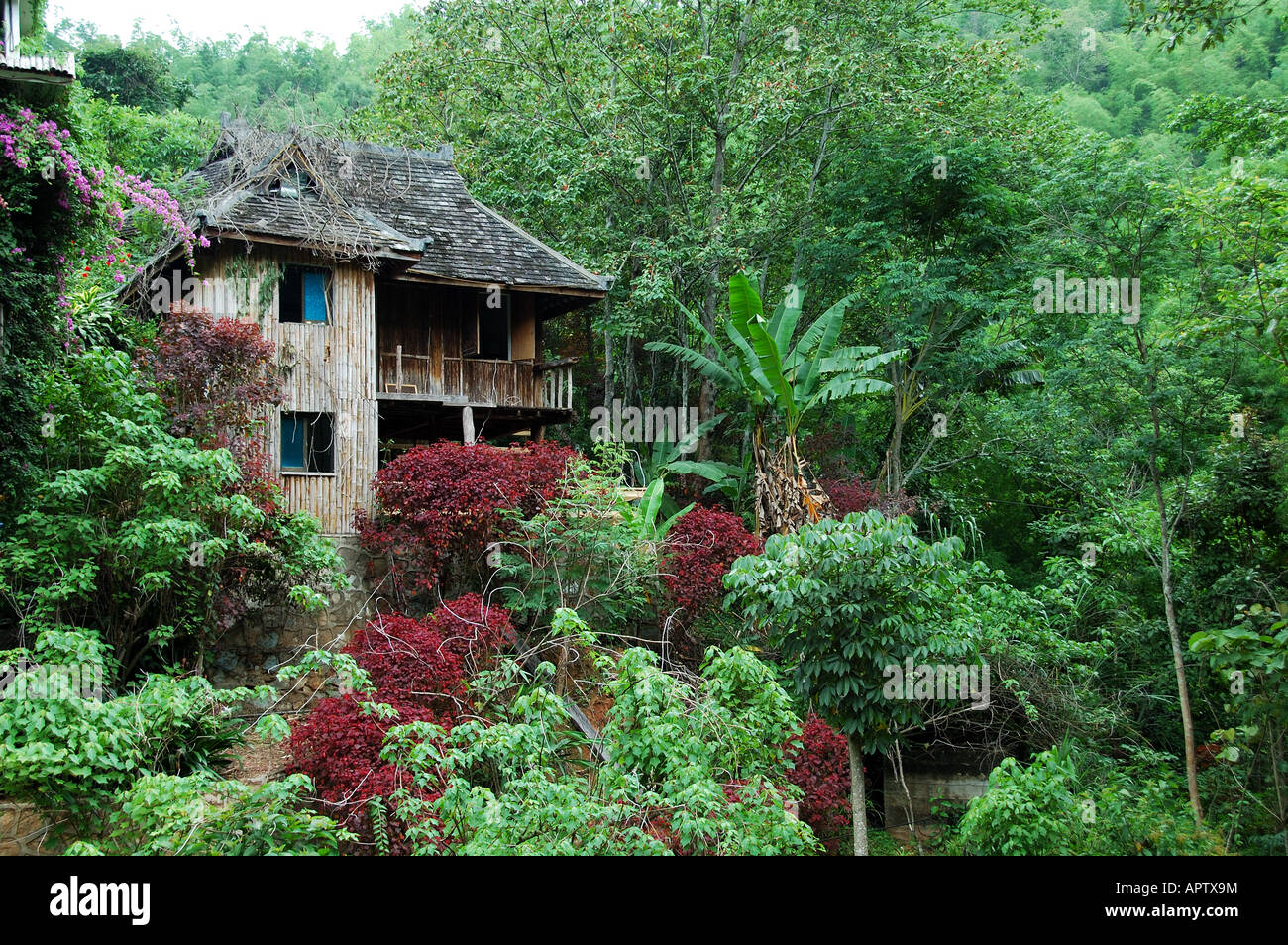 Una tradizionale casa in legno nel verde lussureggiante della Xishuanbanna foresta di pioggia. Distretto Xishuanbanna, Yunnan in Cina. Foto Stock